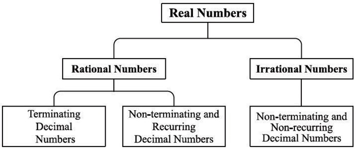 Real numbers diagram